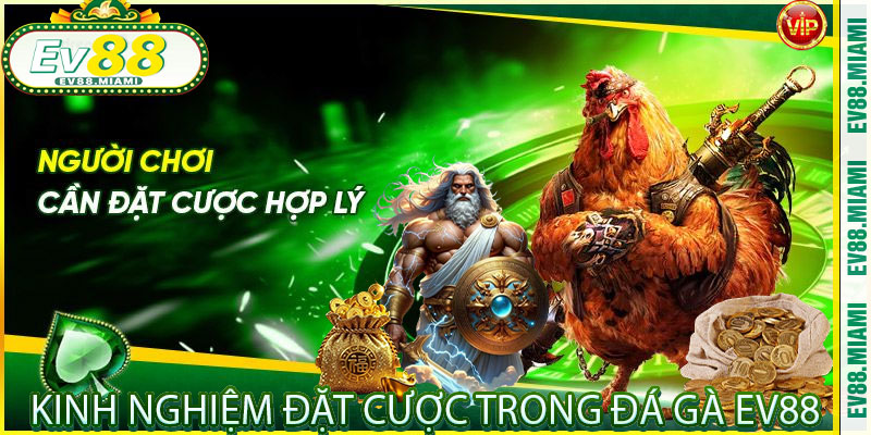 Kinh Nghiệm Đặt Cược Trong Đá Gà EV88