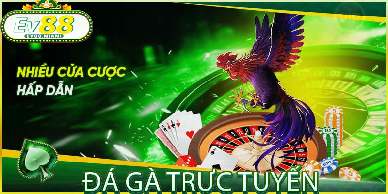 Đá gà trực tuyến